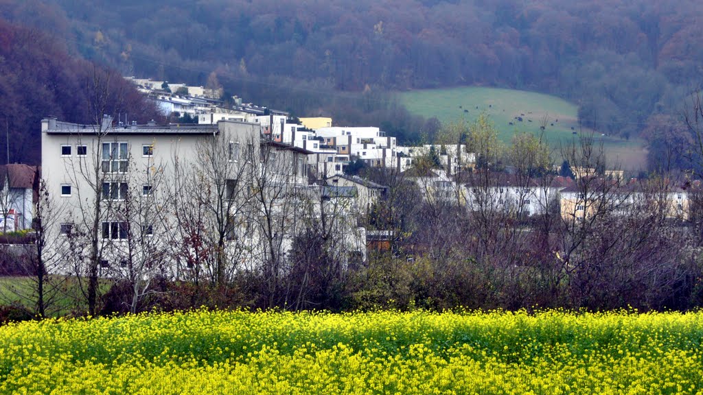 Die "Chemiesiedlung" in Plesching by © Didi S.