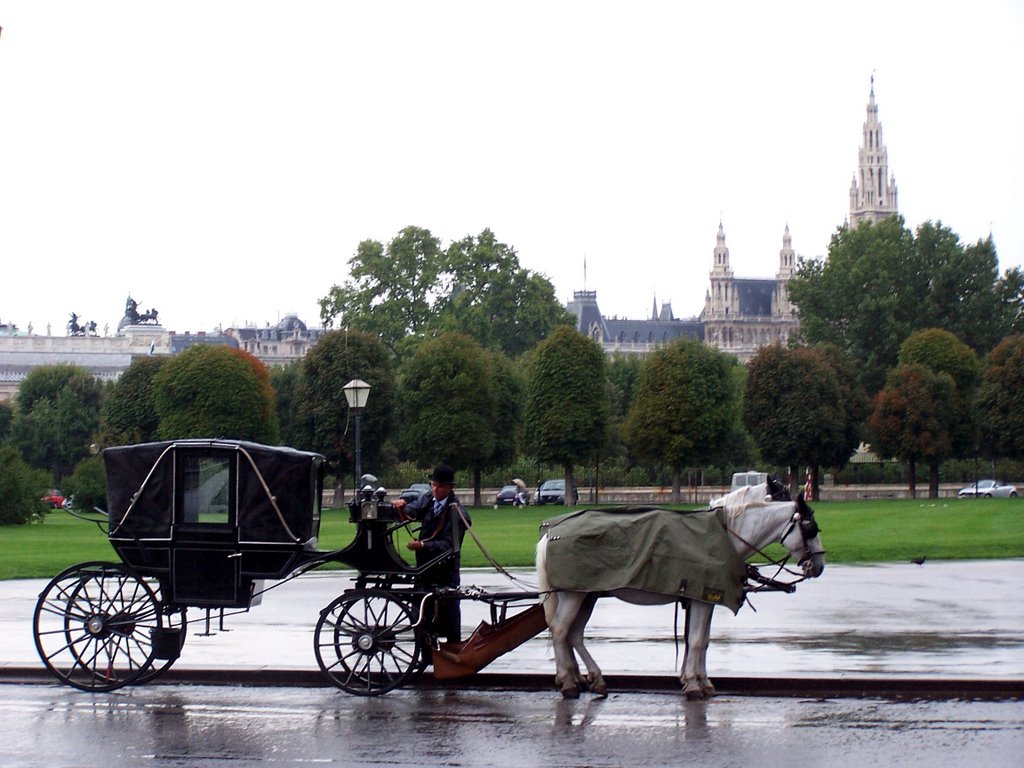 Viena / Wien - Heldenplatz by javier herranz