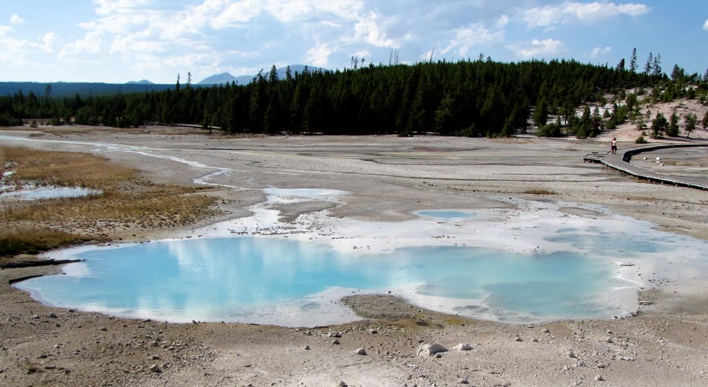 Yellowstone by rebeccabarbato