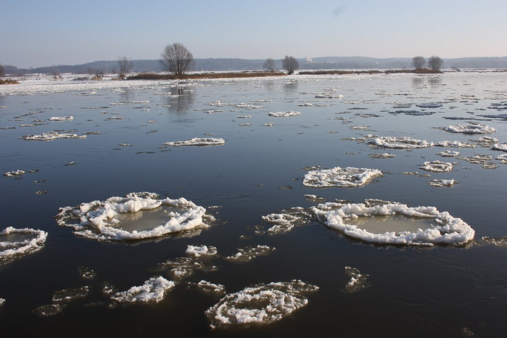 Winter in Frankfurt (Oder) Eisgang auf der Oder Typisch für die Oder by Gottfried Hoffmann -…