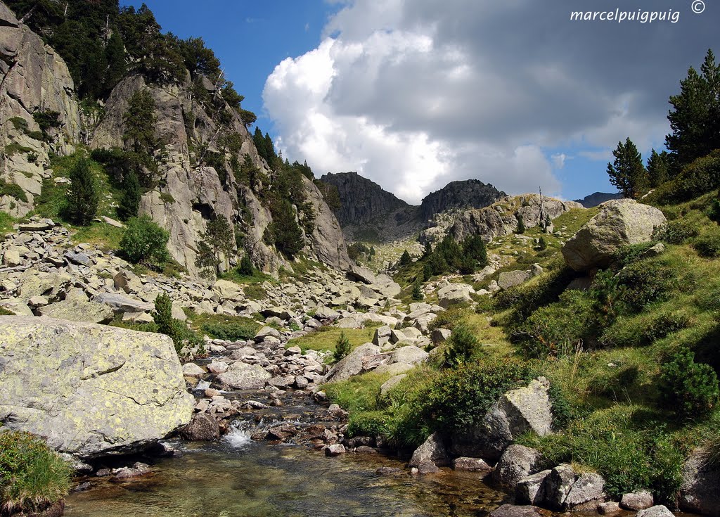 El riu aigües amunt de l’Estany Gran de Colieto. by Marcel Puig Puig