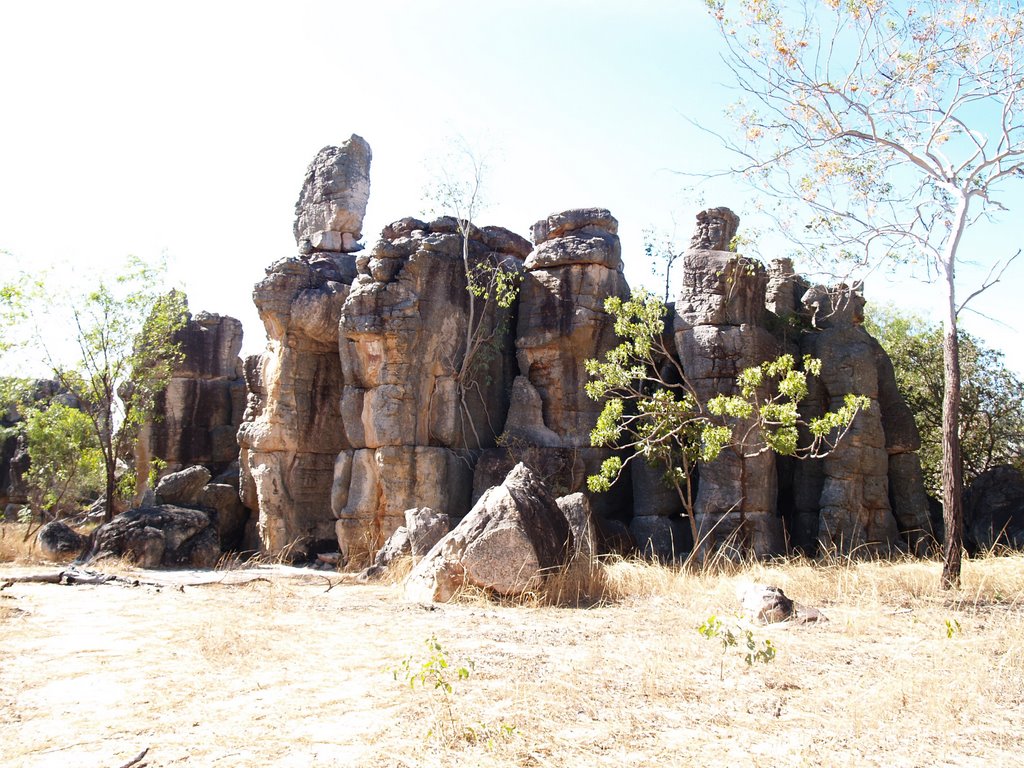 The Lost City, Litchfield NP, NT by LEE TUXFORD