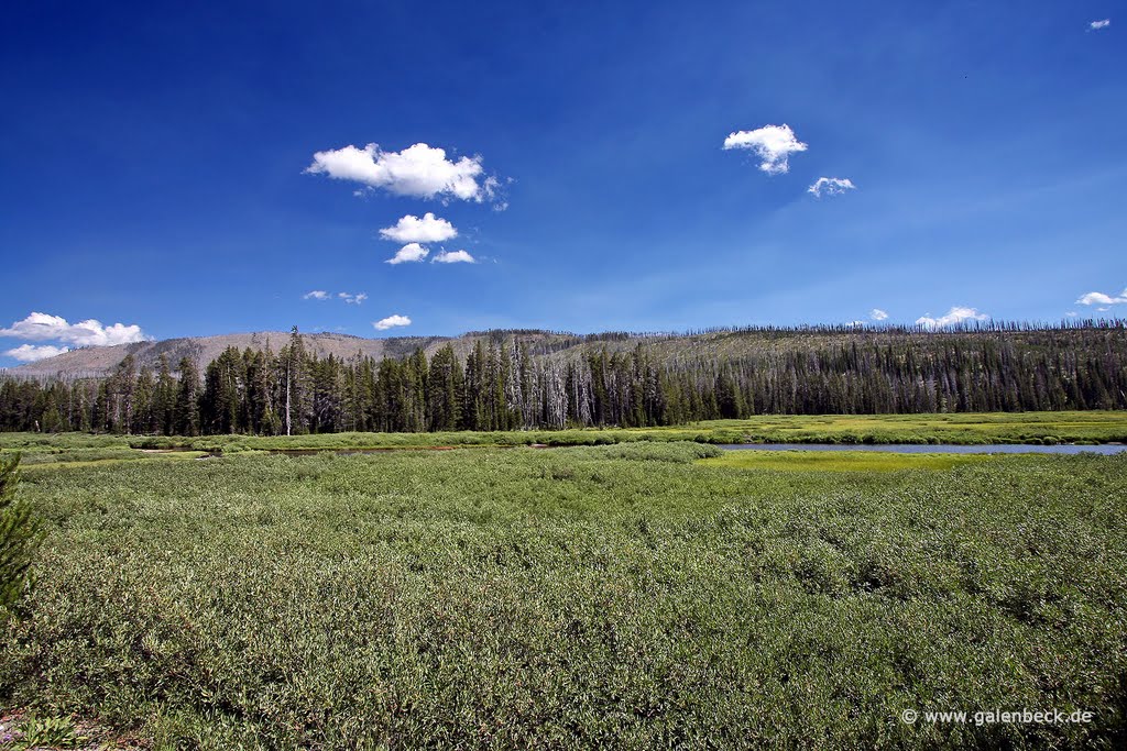 Yellowstone National Park by www.galenbeck.de