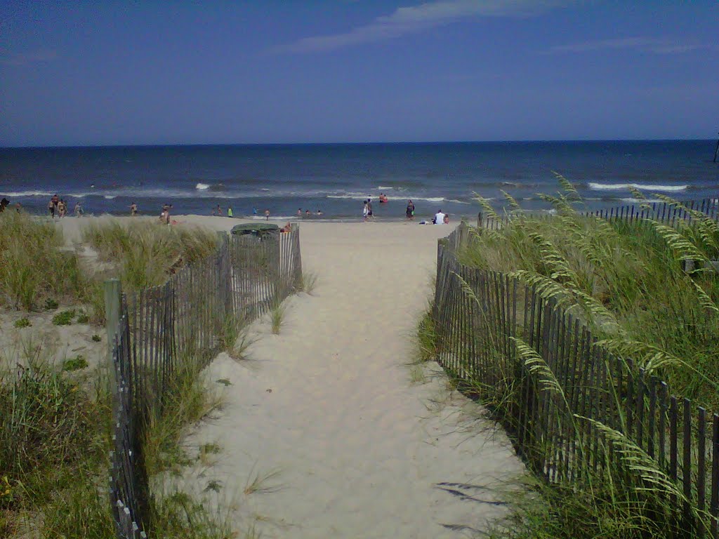 My path to the beach... by L.J.W.F.