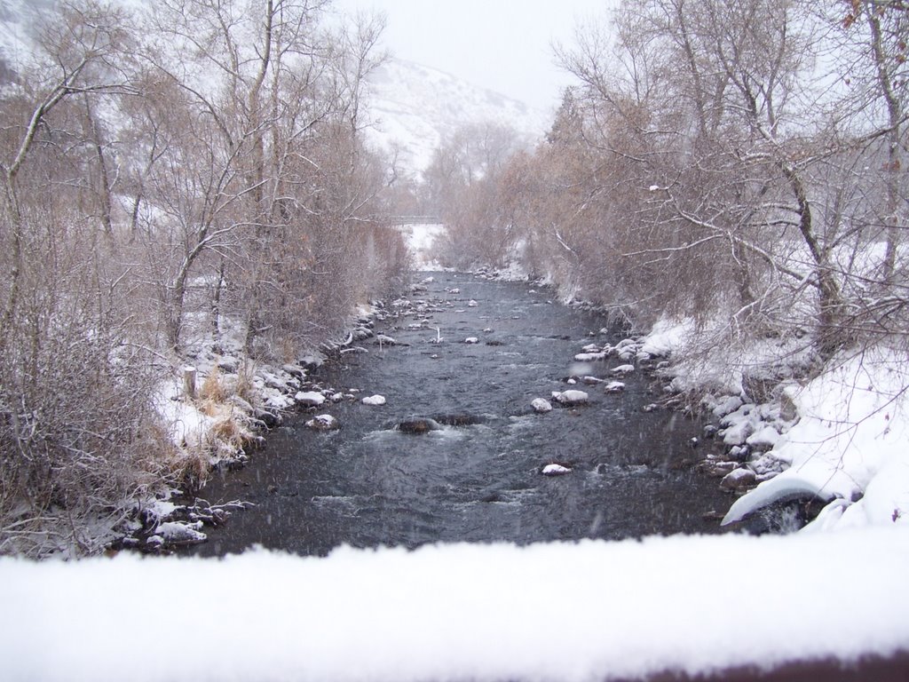 Provo River by Ruth Jensen