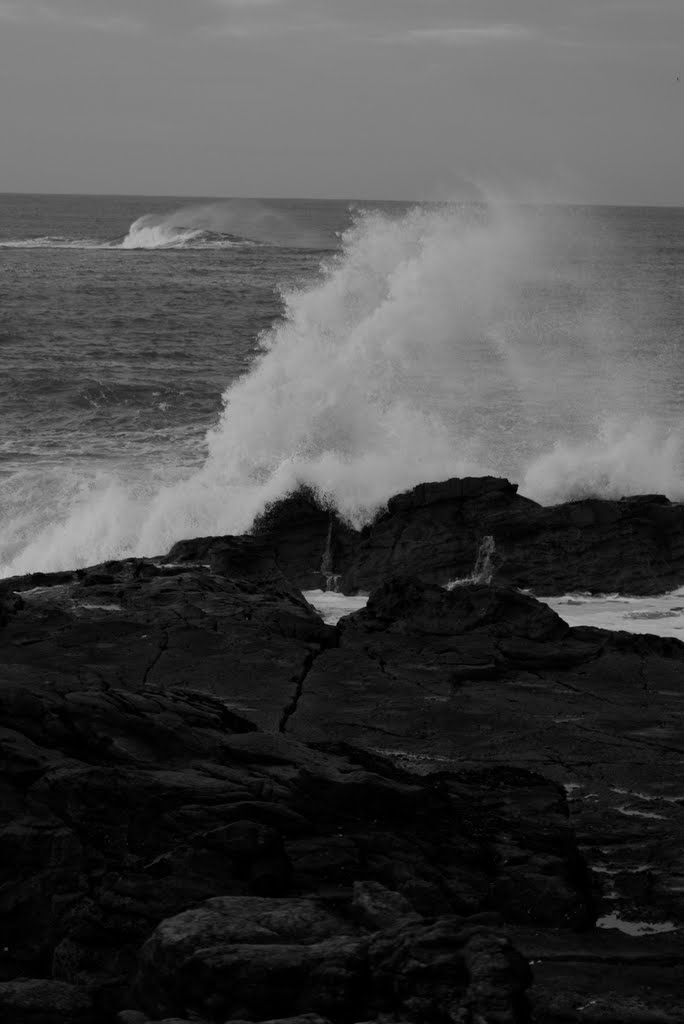 North Tyneside District, UK by Quentin Thompson