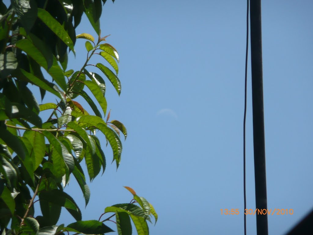 Vista de La Luna en la Hora de Almuerzo by JEG