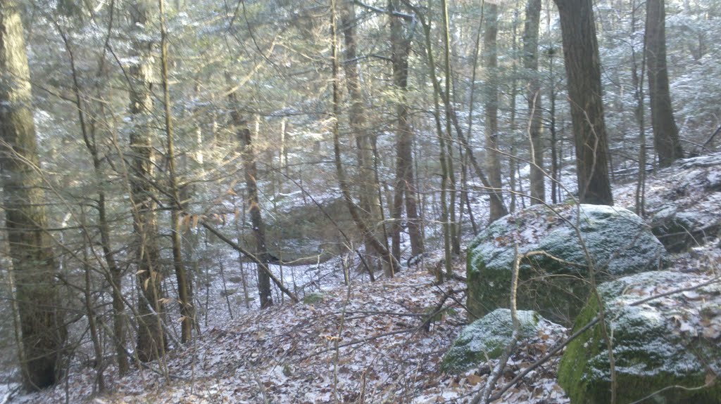 Morley Brook, Tunxis Trail, Dec 2010, Connecticut by Arkie_in_CT