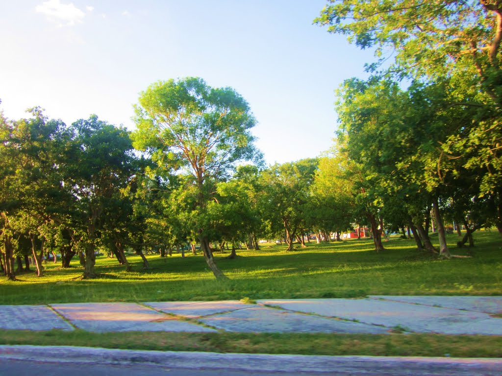 Area verde en el Boluevard Bahía, Chet. by holachetumal