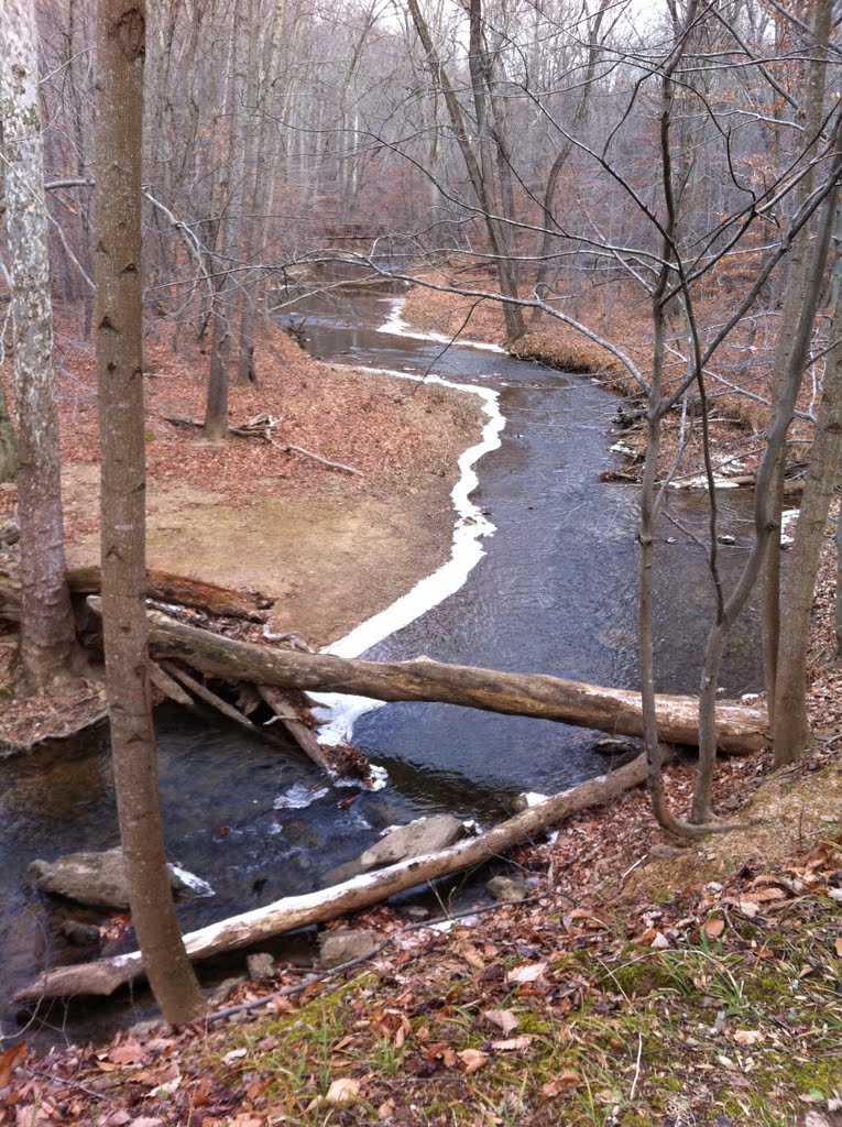 Lace edge on icy Little Seneca Creek - Dec 11th 2010 by scenographer