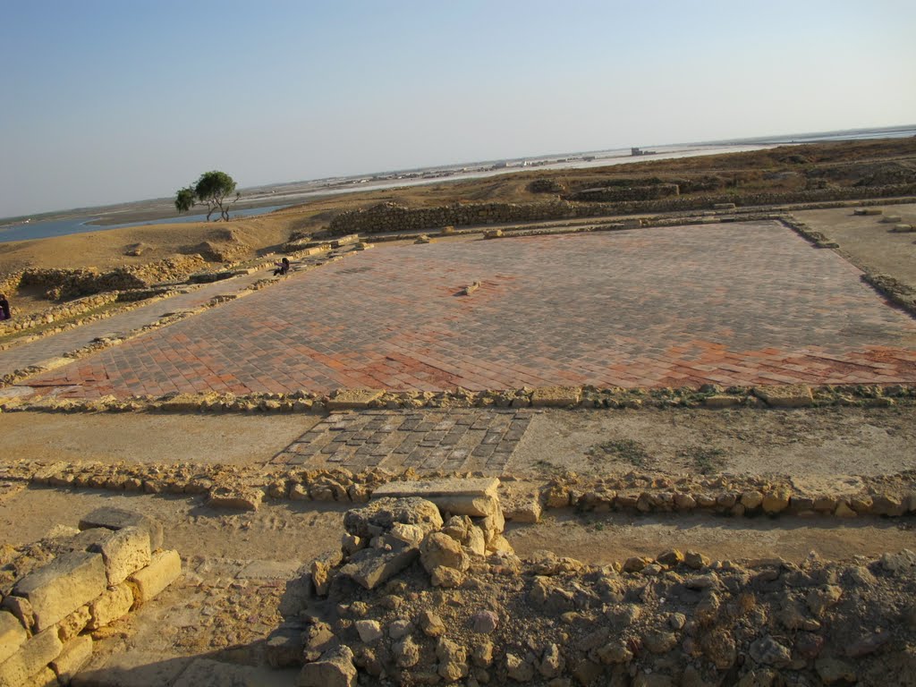 Sindh, Pakistan by Syed Irfan Ali Shah