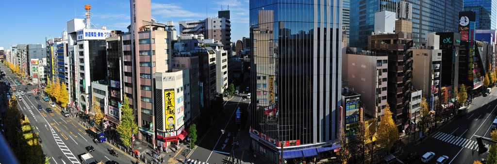 Akihabara panorama by densil