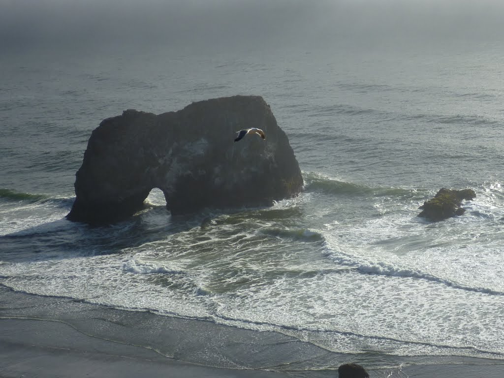 Coastal Arch by Californio