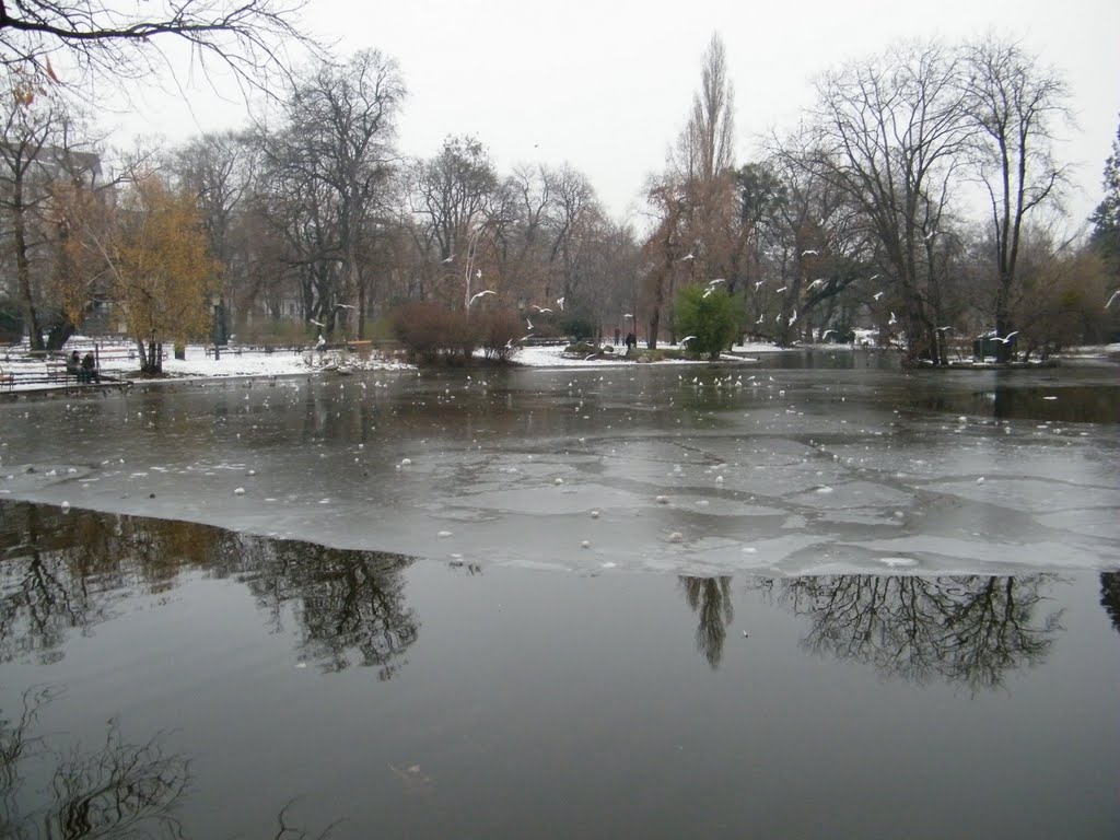 STAW W STADTPARKU by (-: