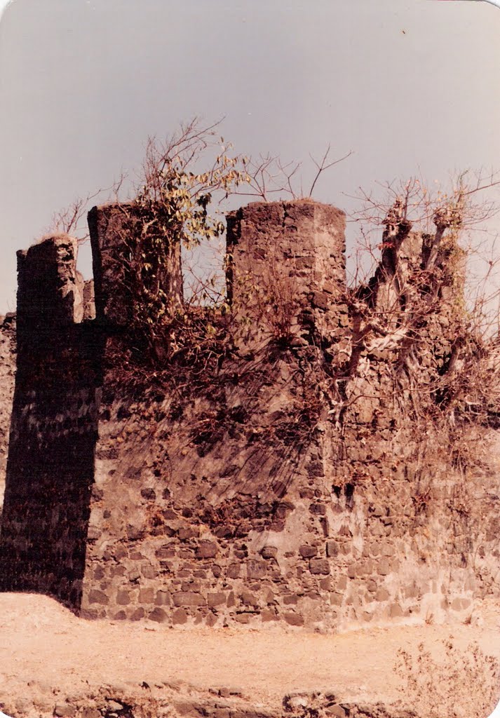 Hexagonal Buruj in the Middle of Fort by Vivek Nadagouda