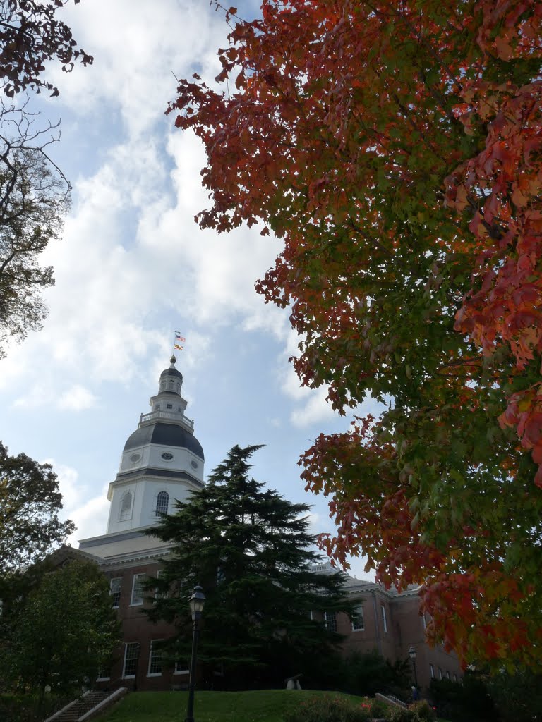 State House Annapolis by LarryBowers