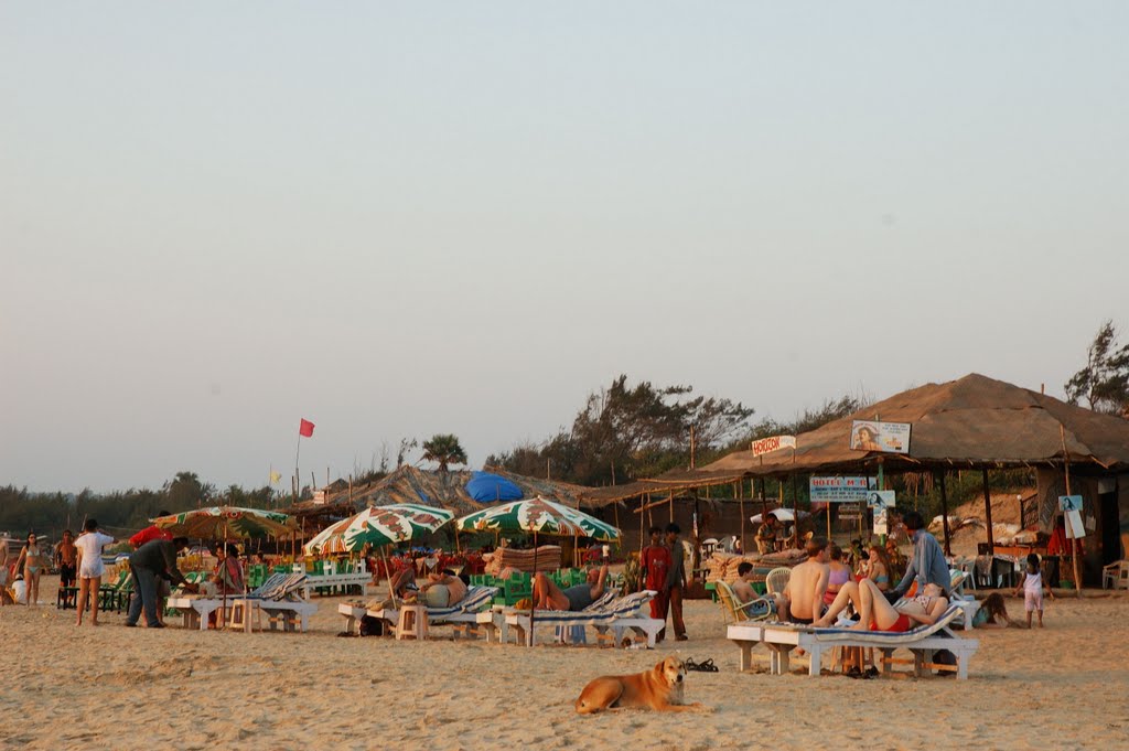 Beach Shacks, Calangute Goa by Brian Pinheiro