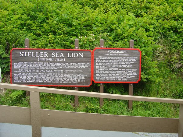 Sea Lion Caves: Florence Oregon - Coast by William S.