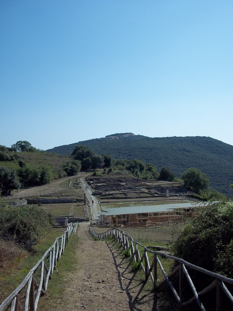 Area archeologica di Roselle (GR) - vista dalla salita del Tempio by mirtillause