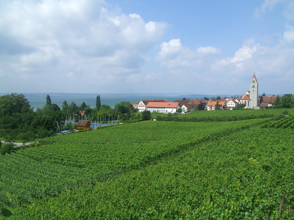 Hagnau Bodensee-Vinyards by J Eggersdorfer