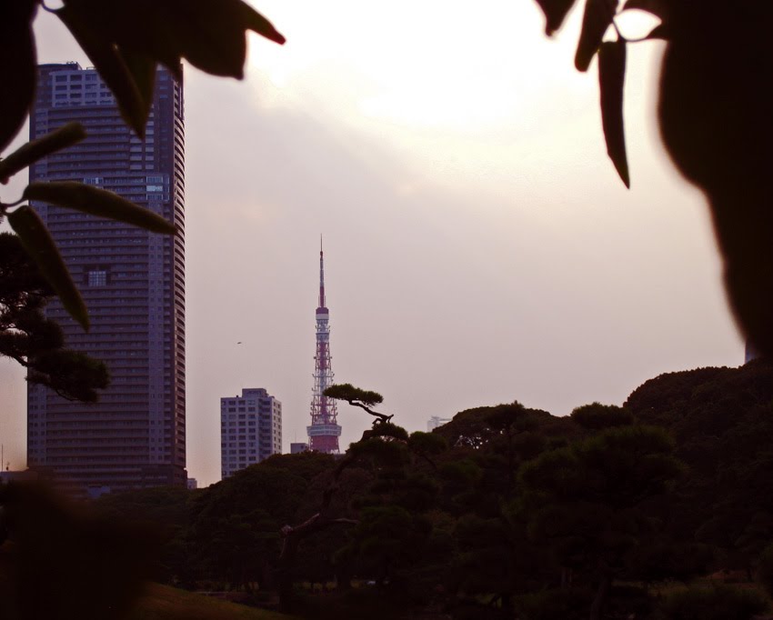 Tokyo Tower from Hama-rikyu Gardens by Shinjuku110