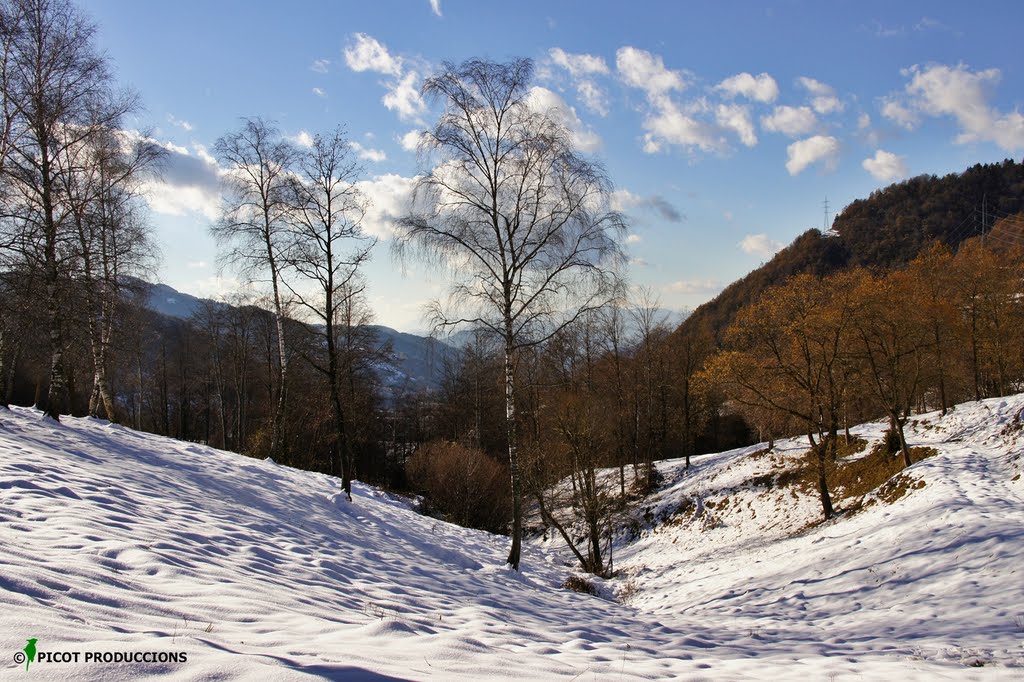 Coll de Canes by © PICOT PRODUCCIONS