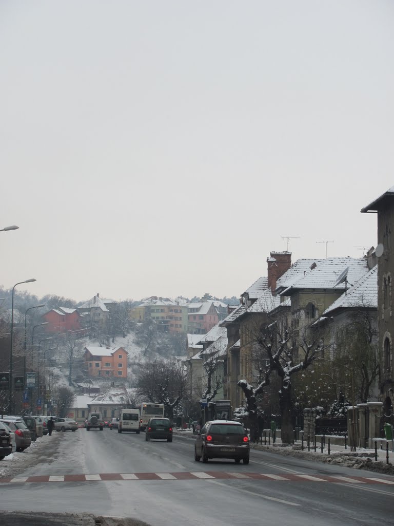 Brașov_Str.Nicolae Iorga și Parc Primărie-12Dec2010 by Popescu Vicentiu