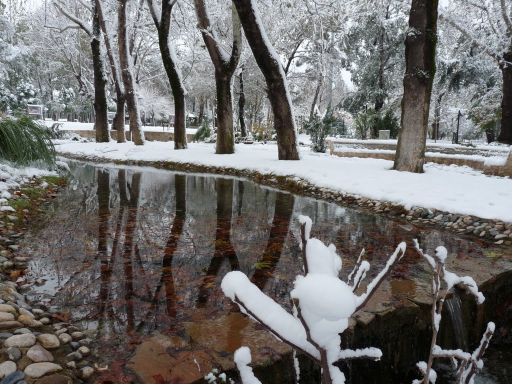 2010 Kış by Cahit HOŞOĞLU