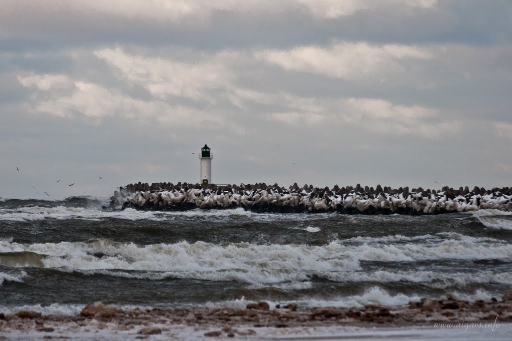 Ventspils winter by Aigars Reinholds