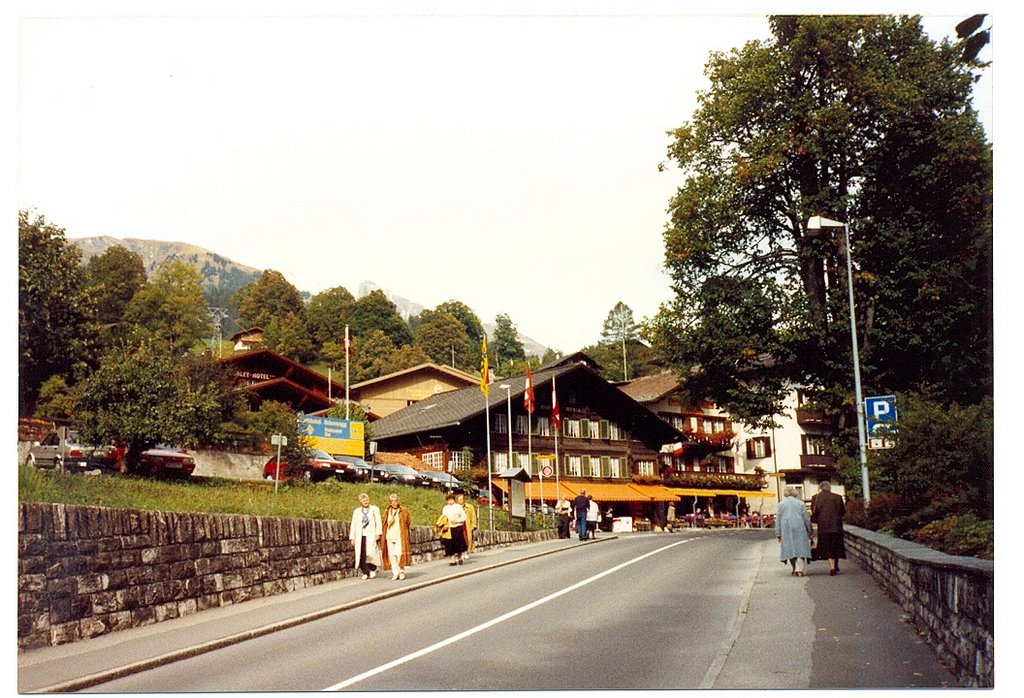 Gydisdorf street, Grindelwald by Alaeddin Faruki