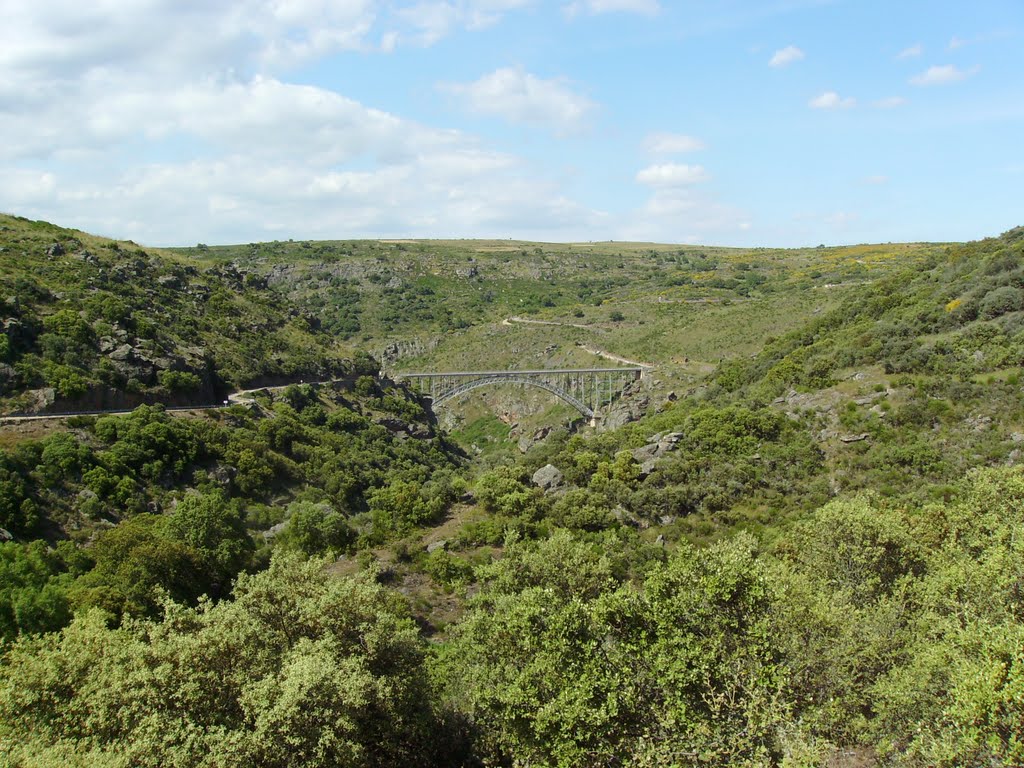 Vista del puente desde la subida a Villadepera. by o rey do café