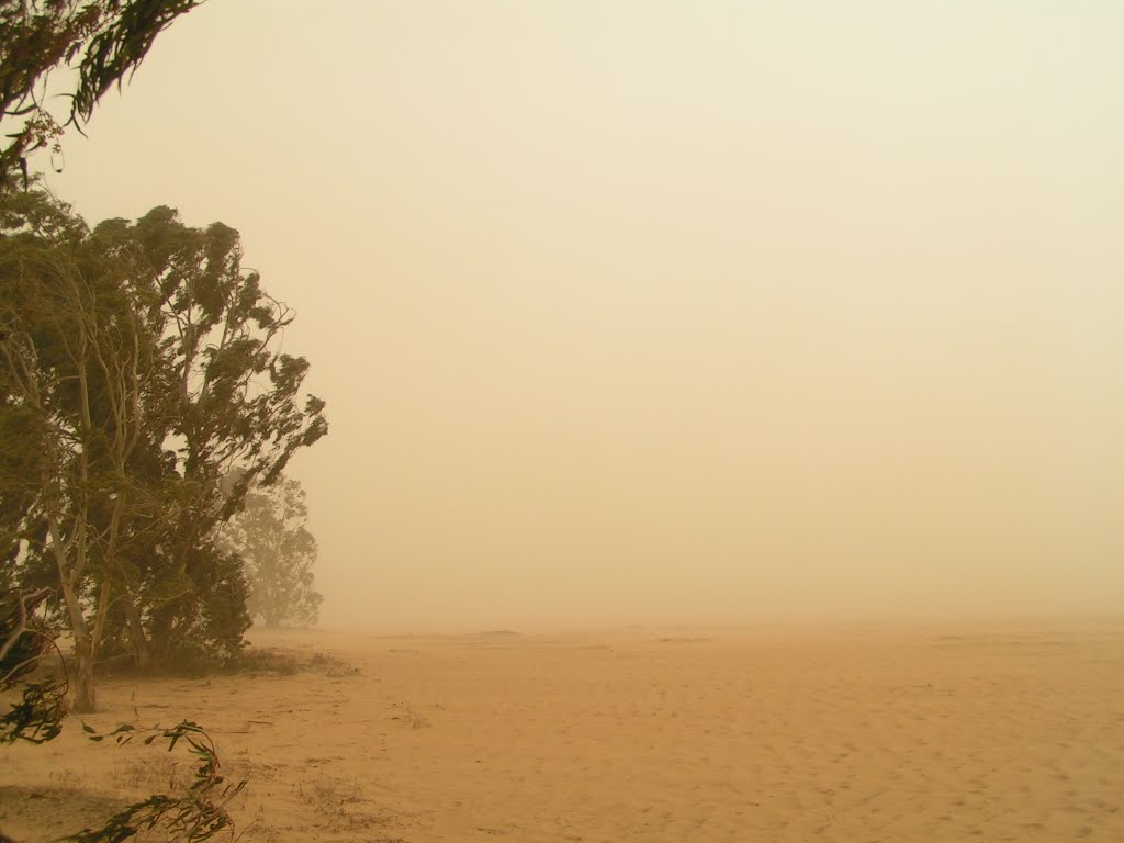 Dust storm_2 by southyuri