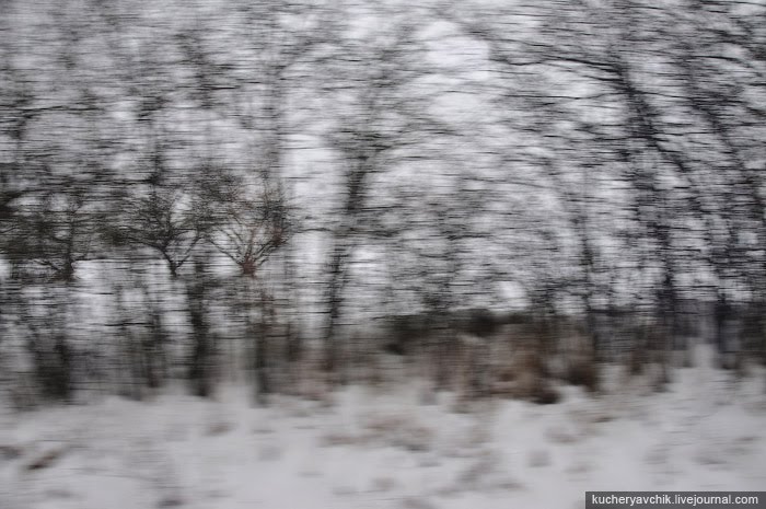 On the way from Pegnitz to Creußen by train by Pavlo Dyban