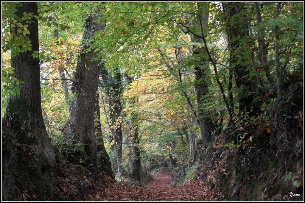 "Charrière" normande by Yane&André