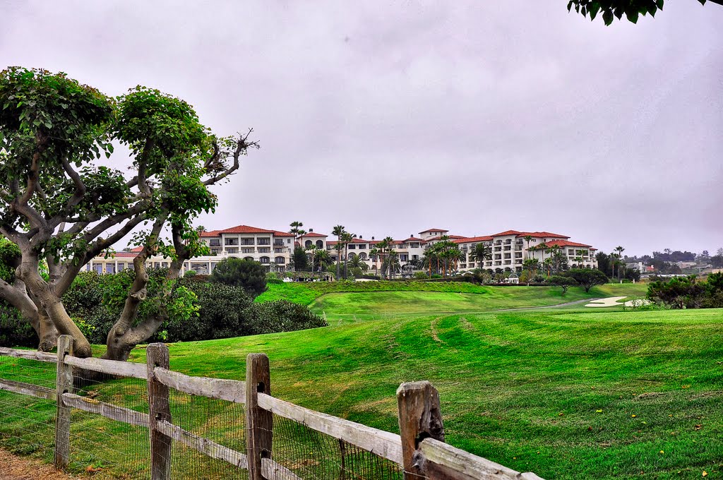 Dana Point, CA by Roman Sebek