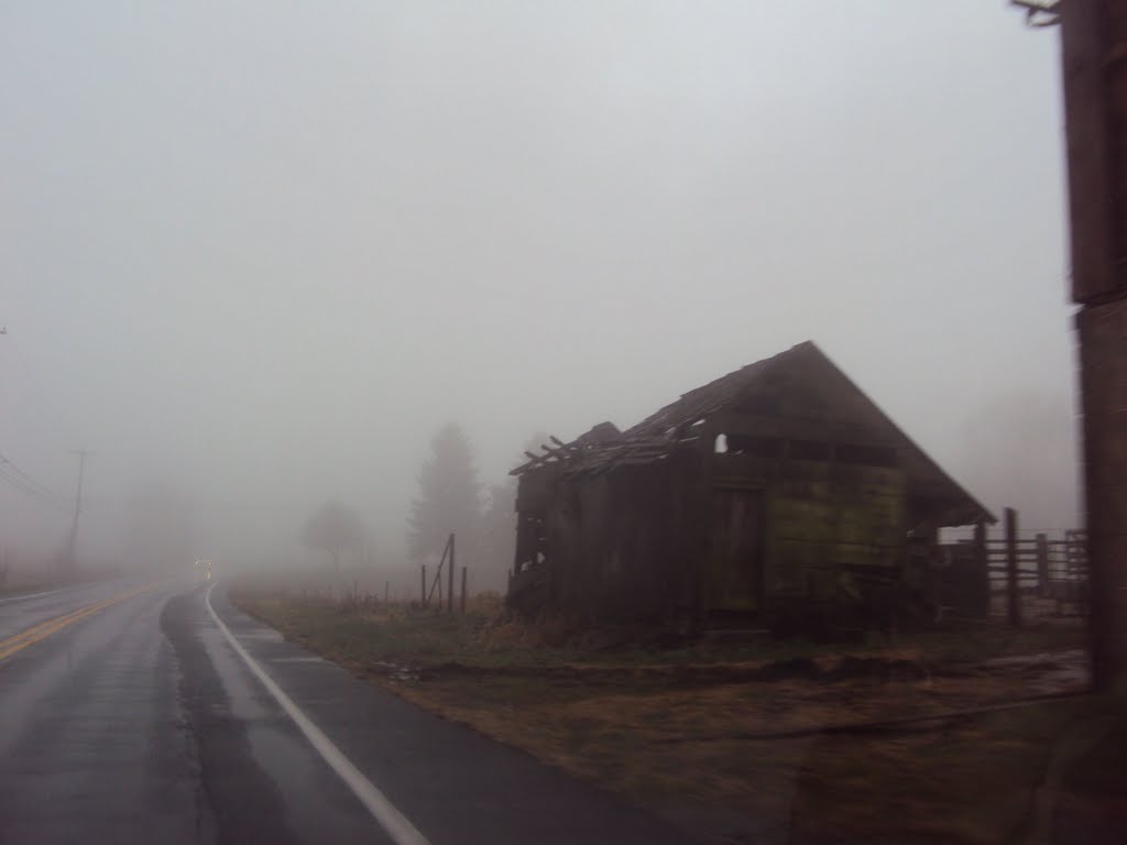 Barn on Boiling Springs Road by bac3917