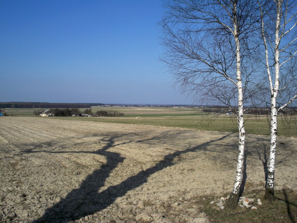 View from the Mound by Rava