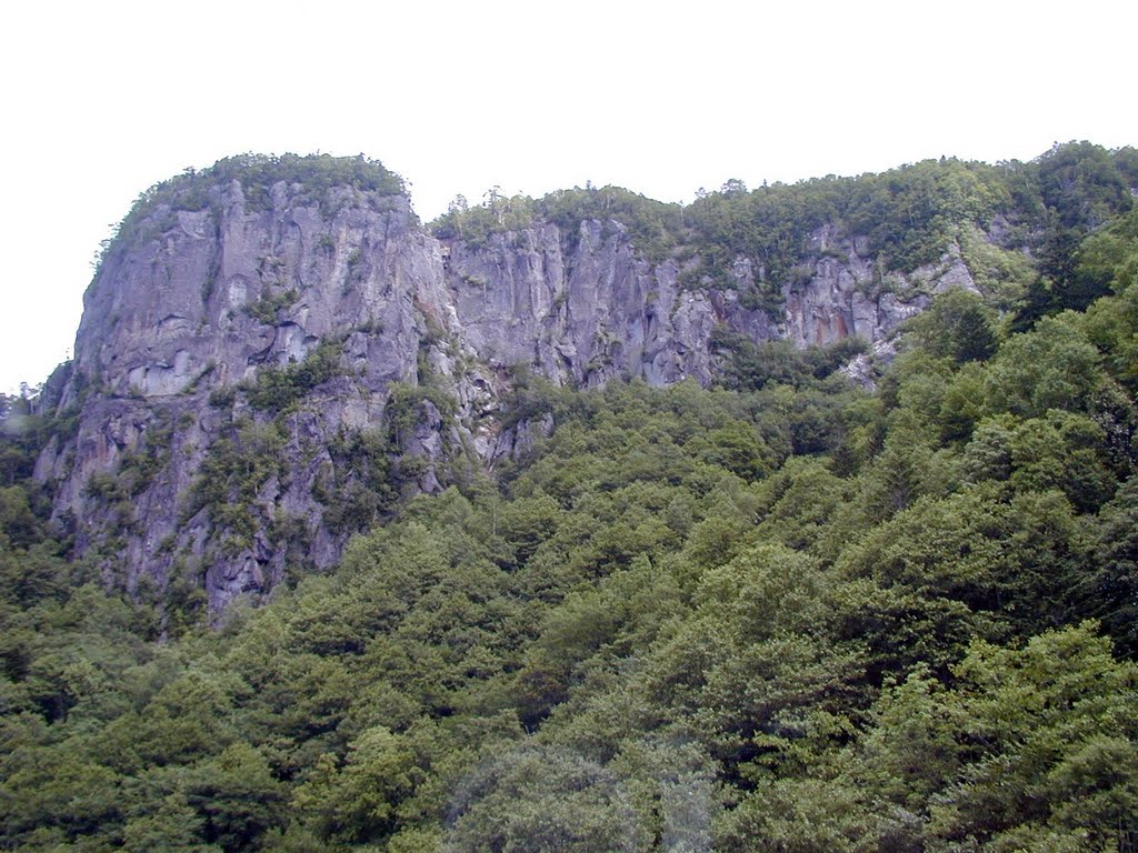 黒岳ロープウエイの途中南側の岩だな by Shotake Takayoshi