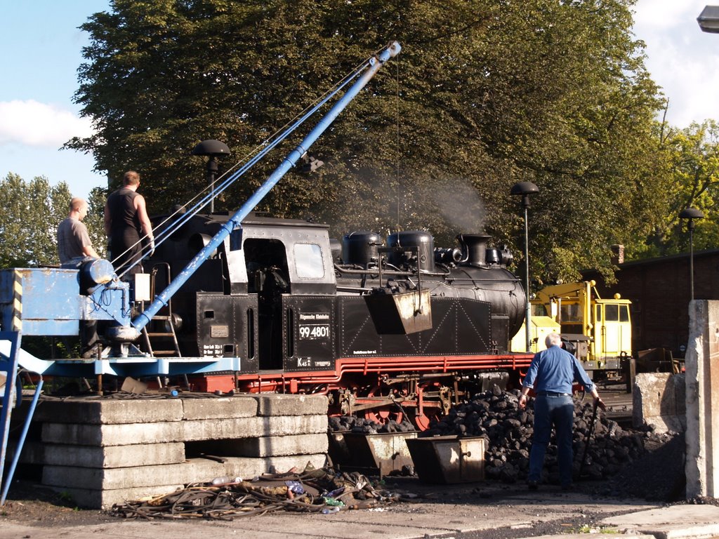 Rasende Roland-Rügensche Kleinbahn lok 994801-2 by Jan Edelijn