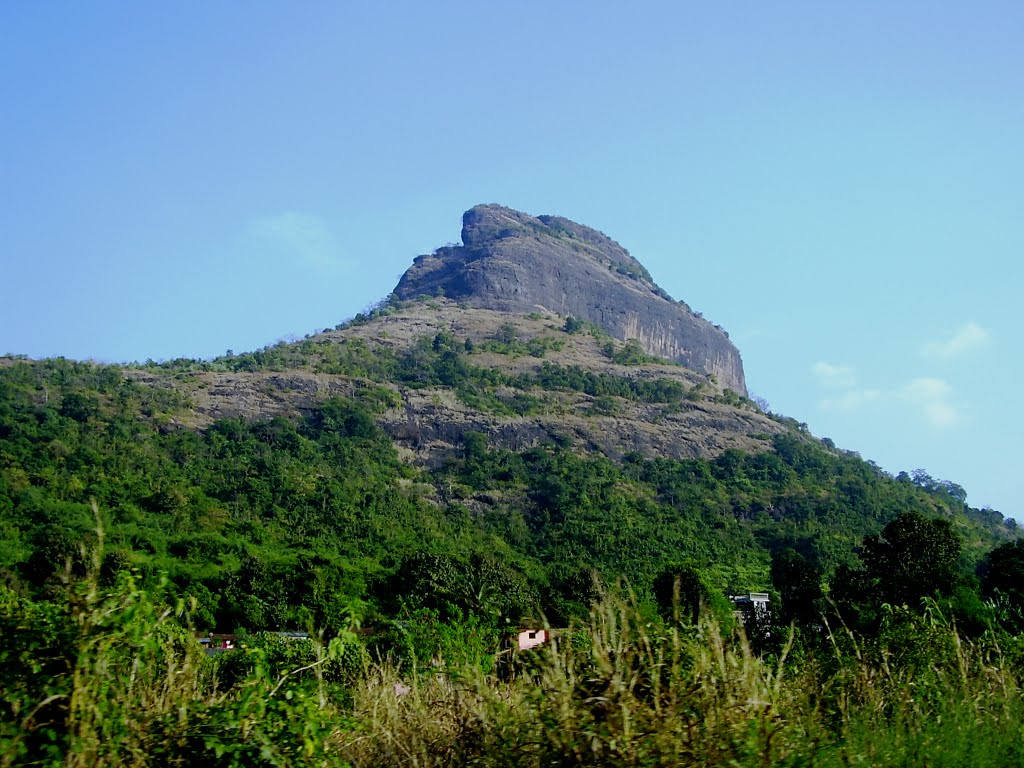 Long view of Sarasgad from Pali village by MD Pasalkar