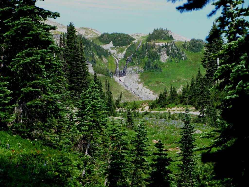 Paradise Park mt.Ranier Washington 2010 by mikefromspace