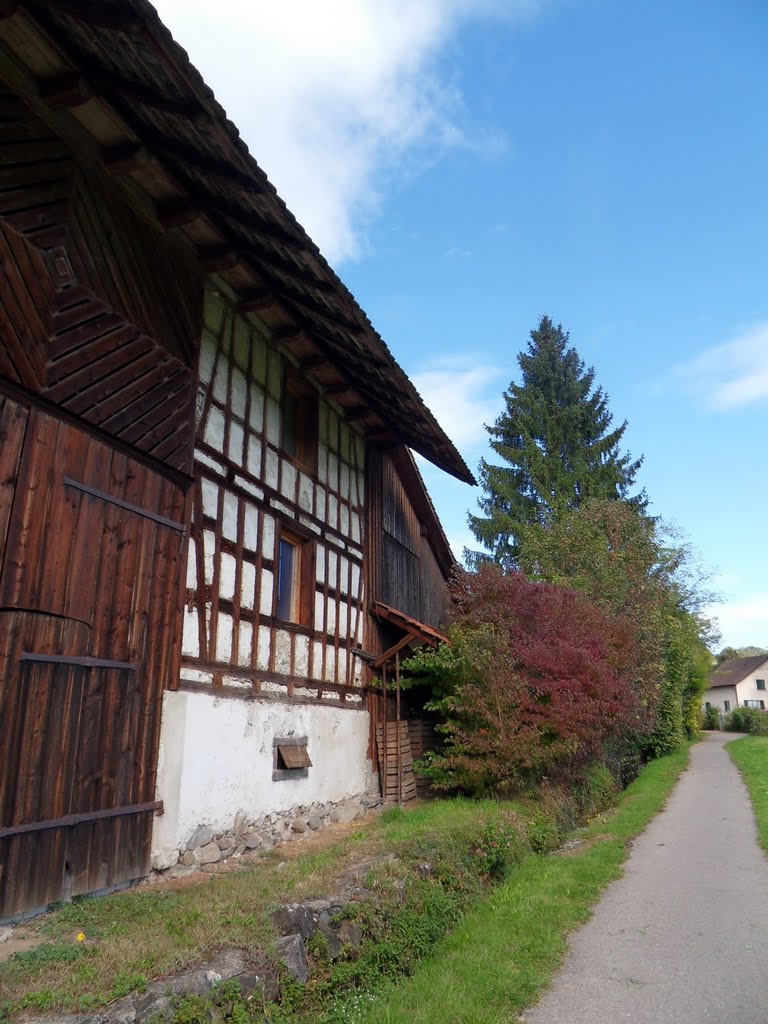 Chileweg, Mettmenstetten by tajpanch