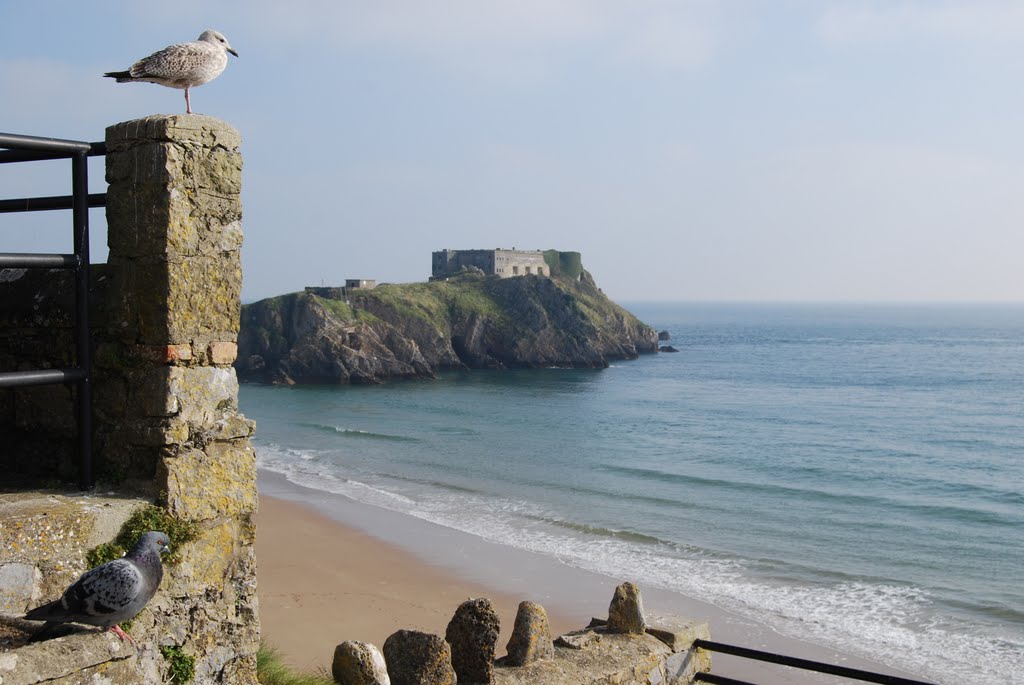 Tenby Beach - South Wales by alberto1224