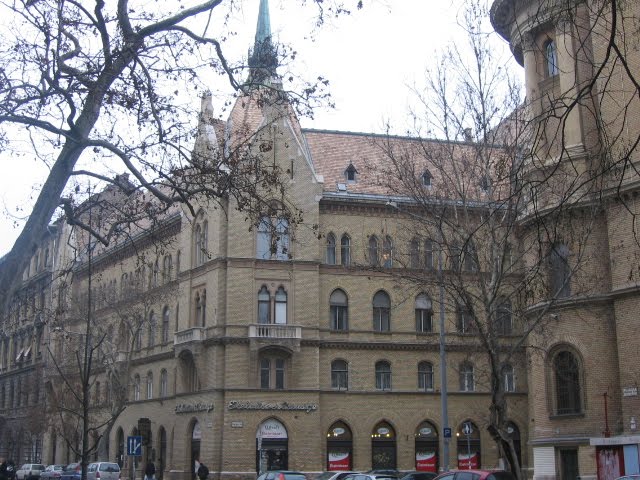 Art Neuaveau Buildings in Budapest by Bora Arasan