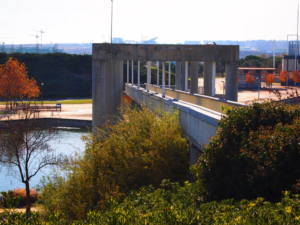 Puente by Baldasare