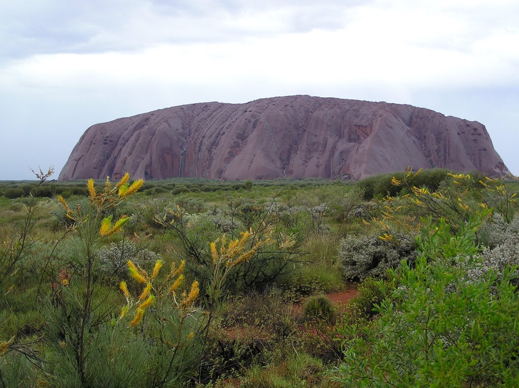 Rain On The Rock, Uluru, NT by LEE TUXFORD