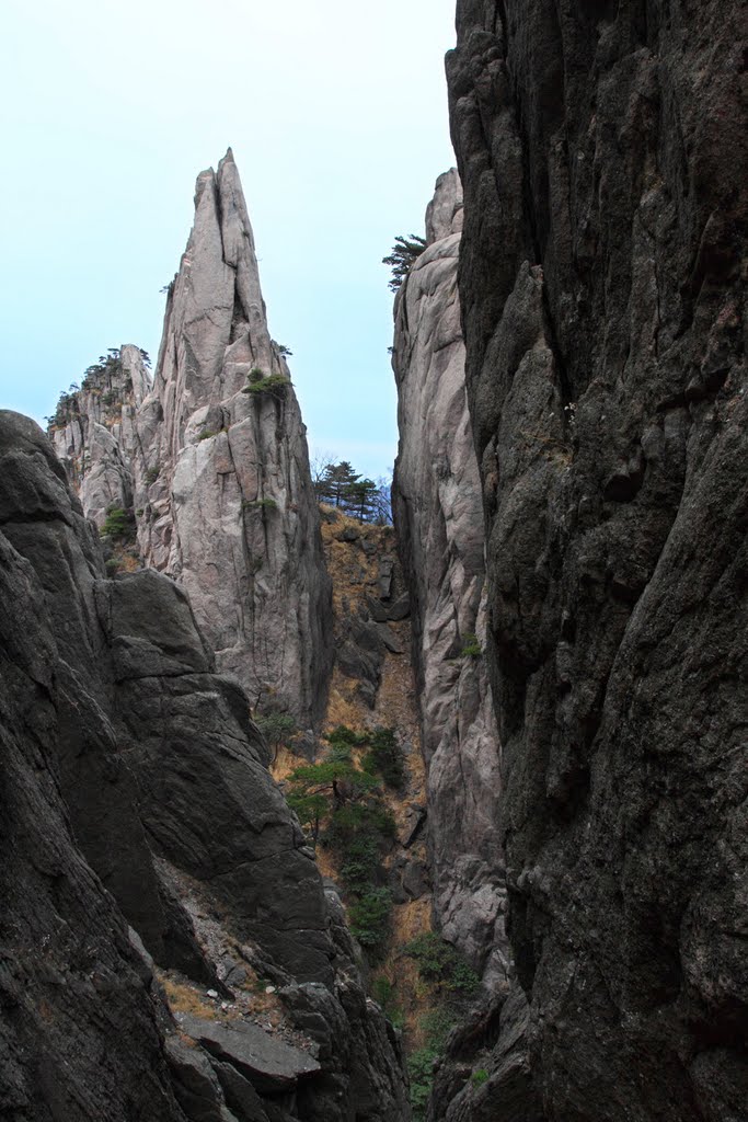 Huangshan, Anhui, China by zhangzhugang