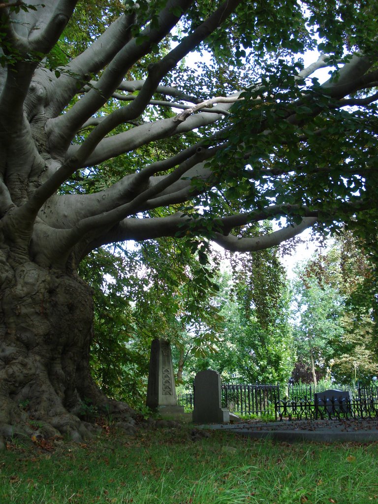 Groenensteeg graveyard by BDB