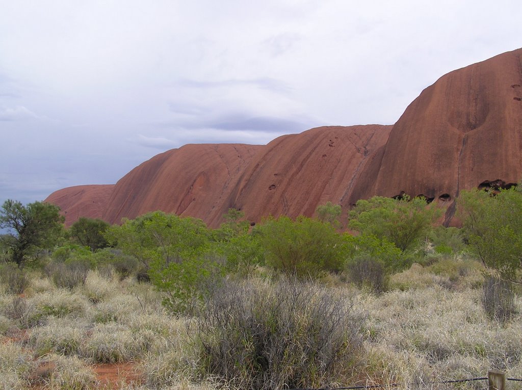 Uluru 2004, NT by LEE TUXFORD