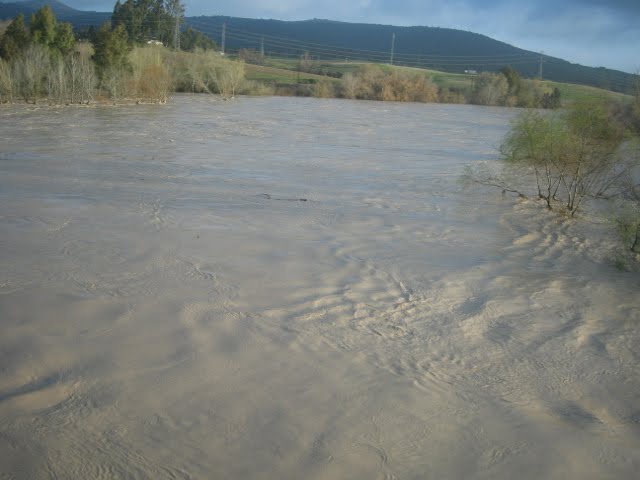 20 Puente de Alcolea (Inundaciones Febrero 2010) by Itoman